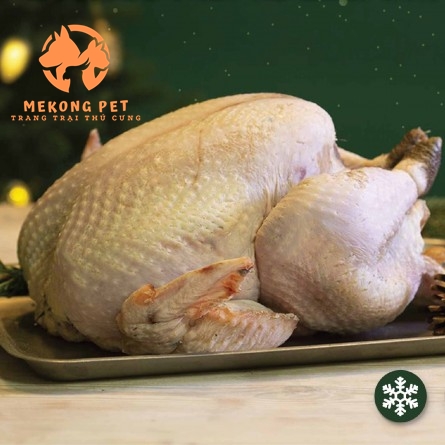 Mua Gà Tây Nguyên Con Tươi Sống Tại TPHCM
